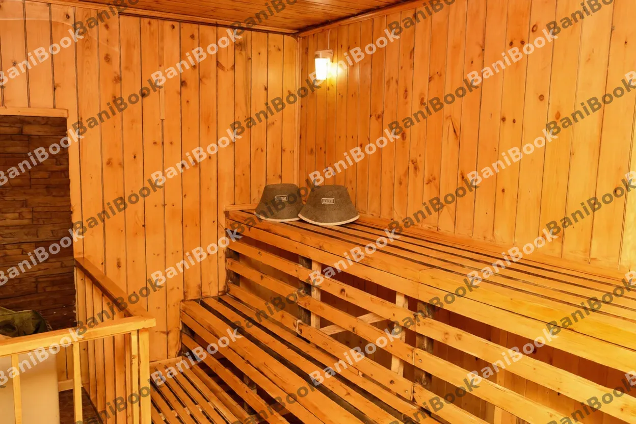 Сауна Золотой Лев