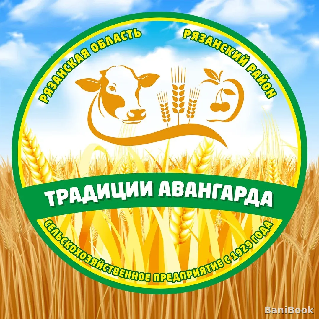 Сауна Авангард — финская сауна в Рязани, фото