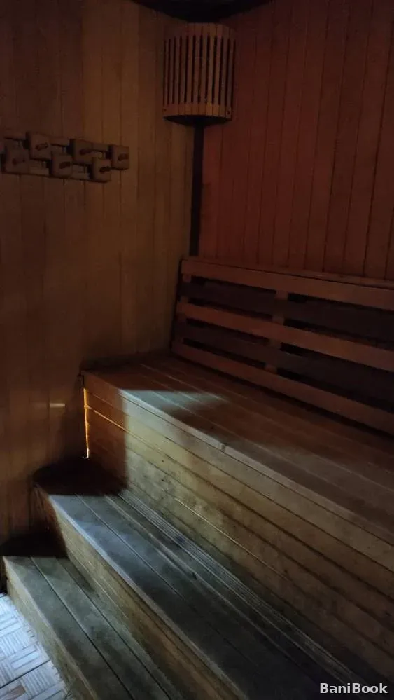 Березка на Сорокиных хуторах