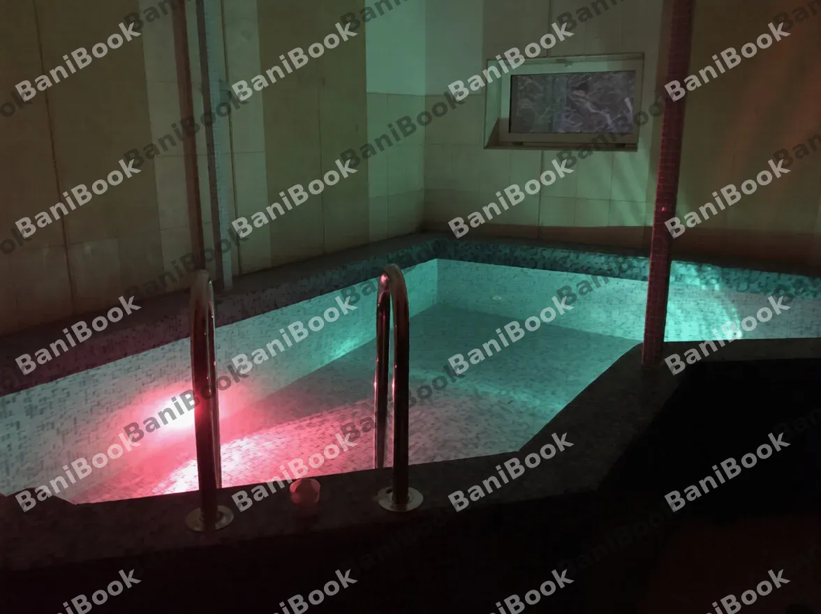 Сауна Пальмира