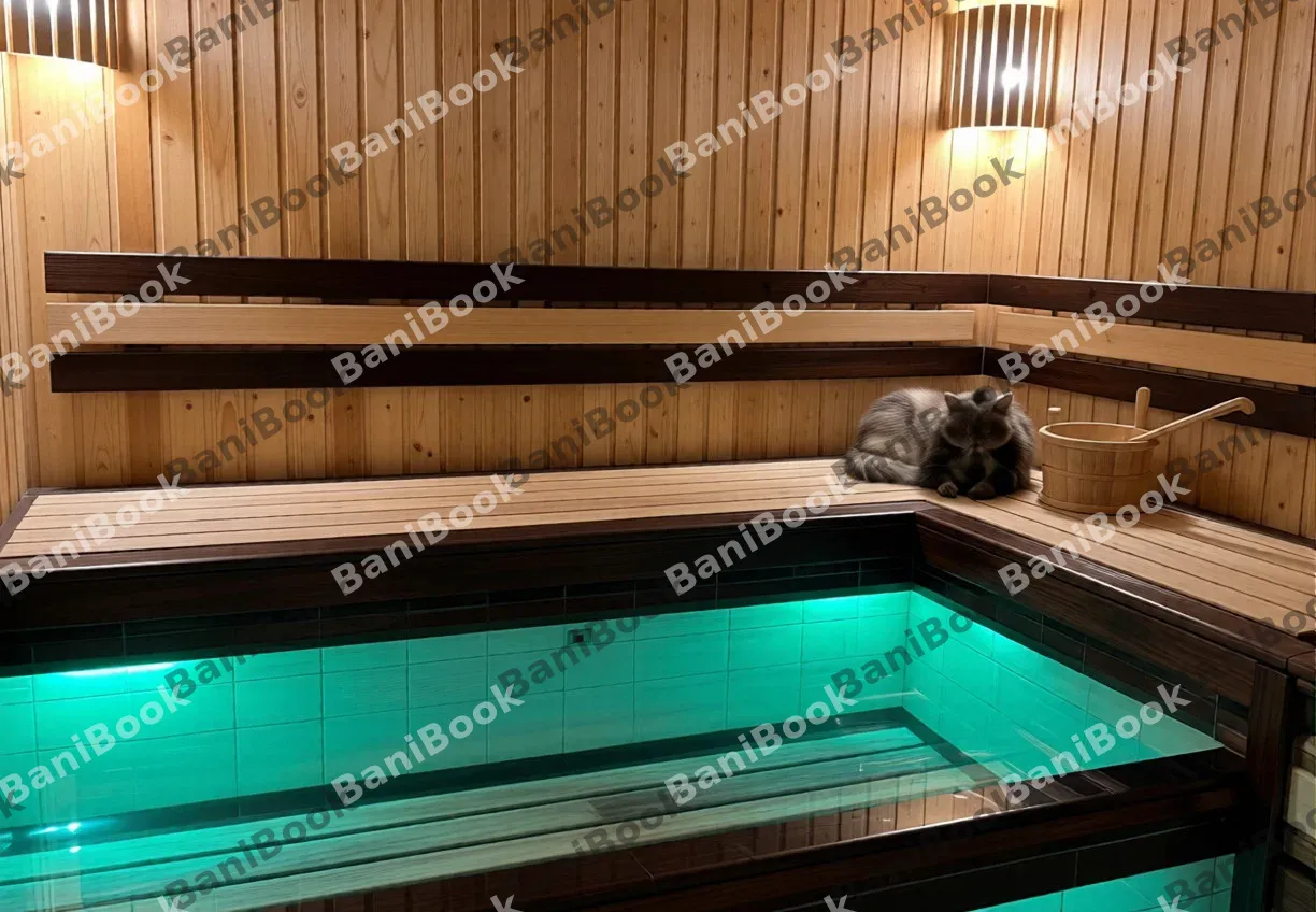 Сауна Своя компания