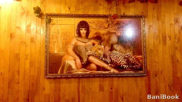Сауна Оазис