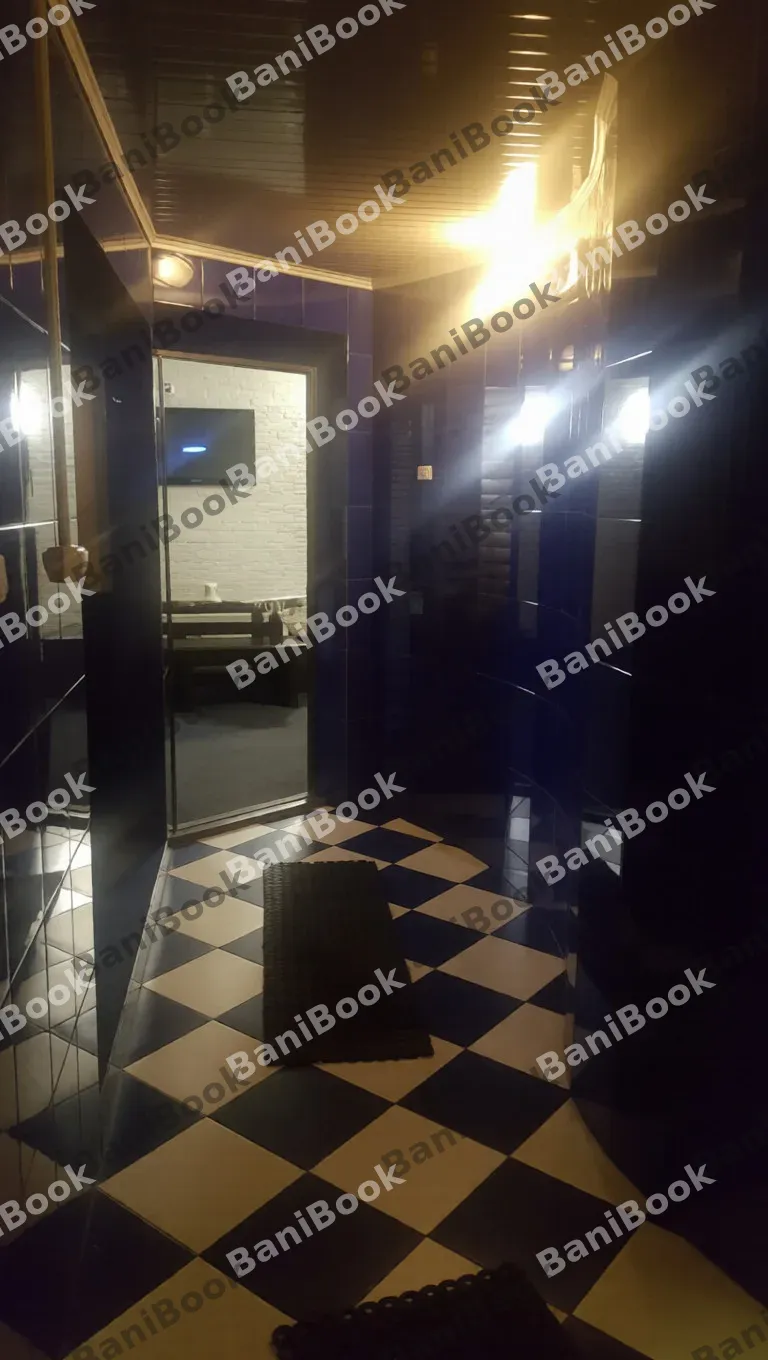 Сауна Дельфин