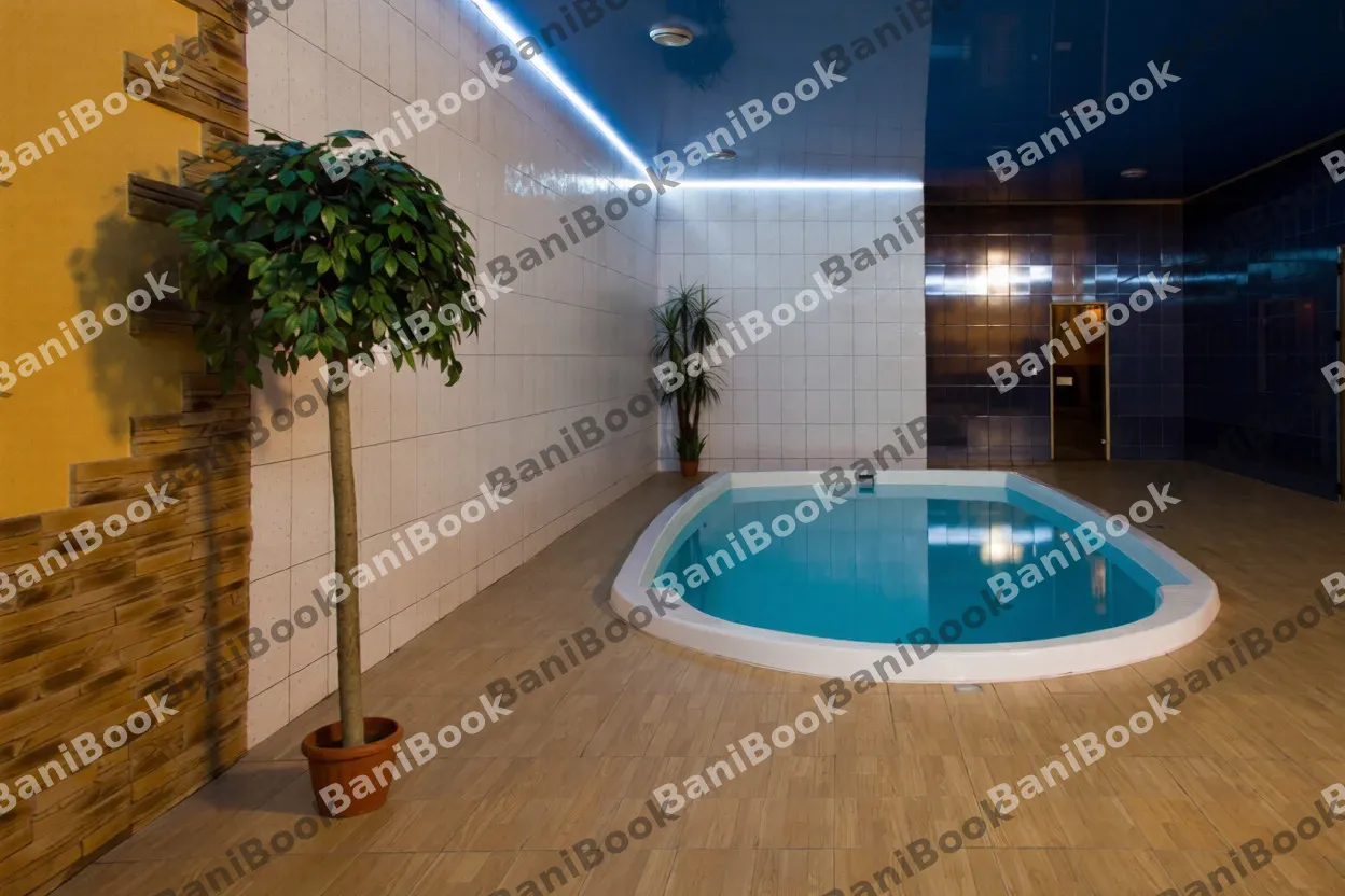 Сауна Фиеста