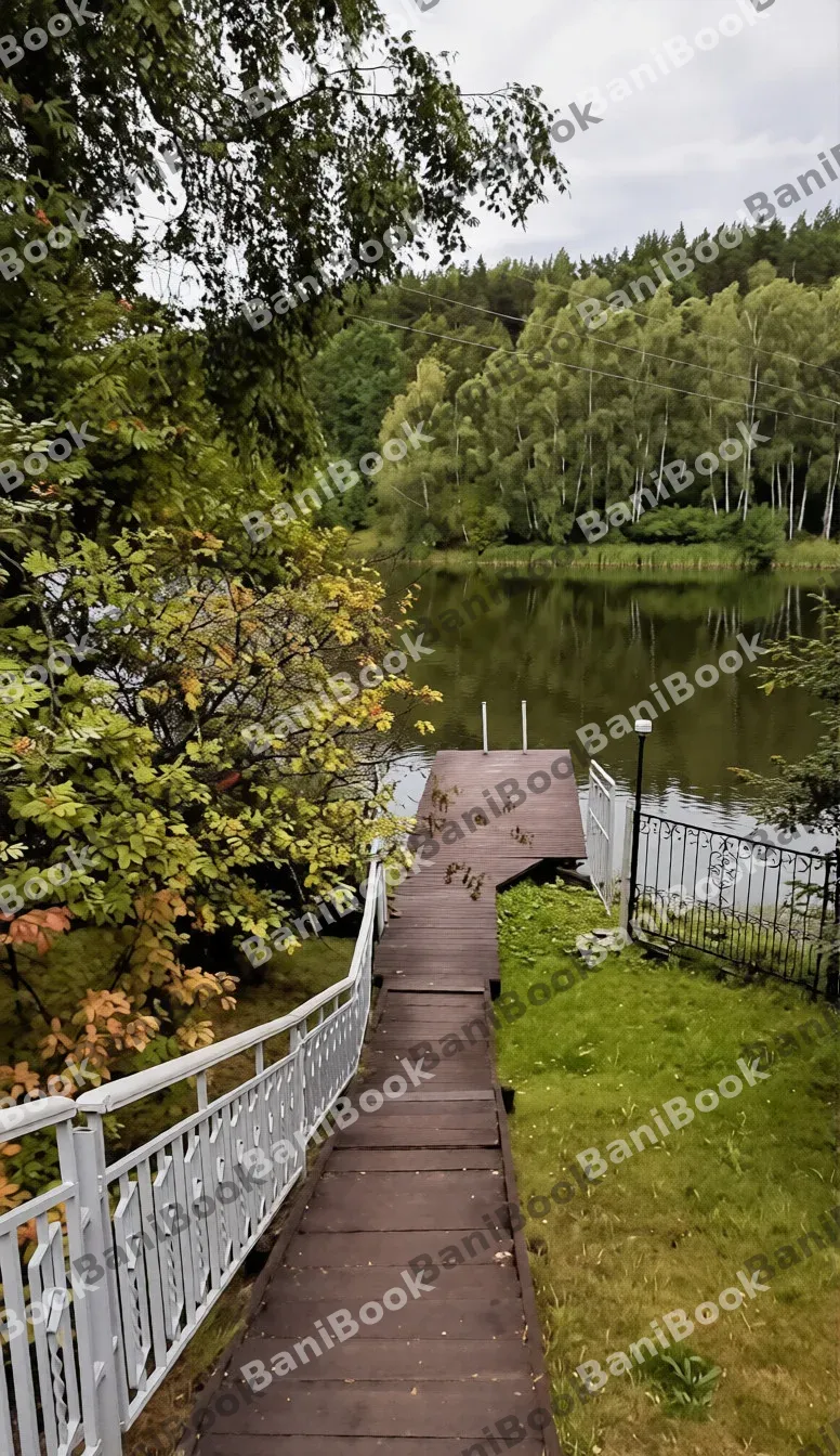 Сауна Мечта