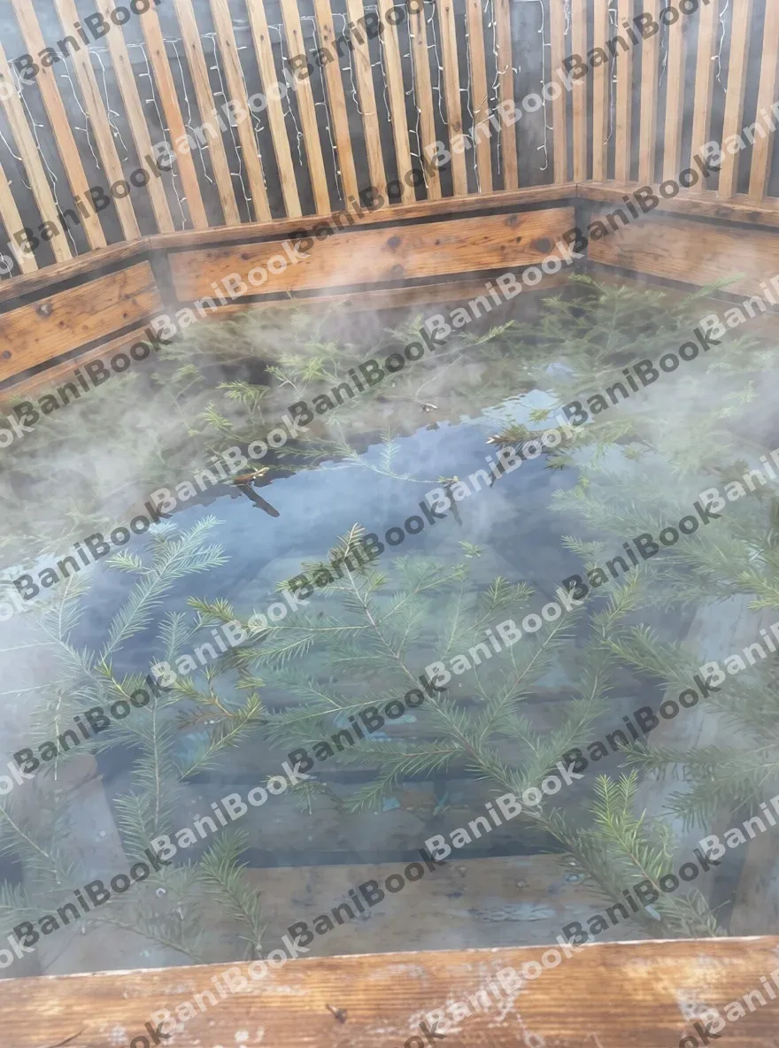 Живая русская Баня