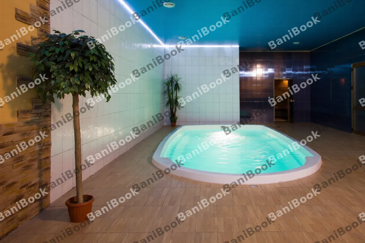 Сауна Фиеста