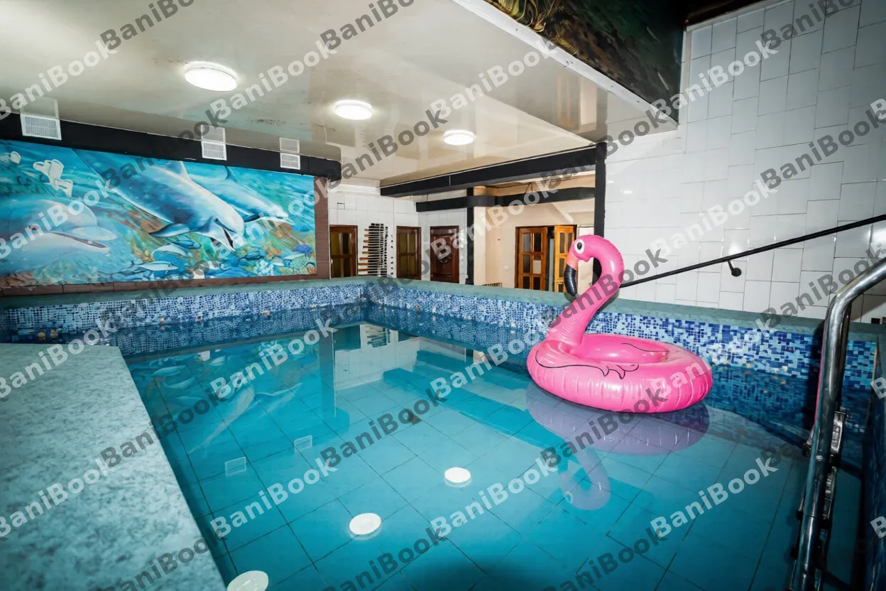 Сауна Дельфин