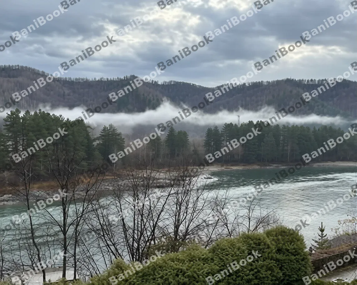 Сауна Прайм-Тайм